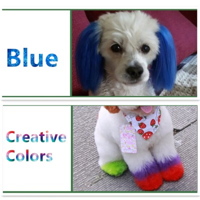 2019 wholesale new semi-permanent safe hair color cream gel for dog